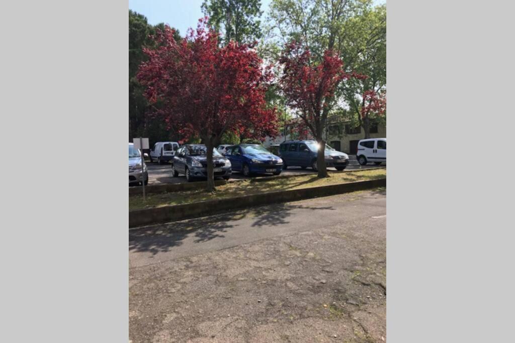 Bel Appartement Avec Vue Et Parking Prive Béziers Kültér fotó