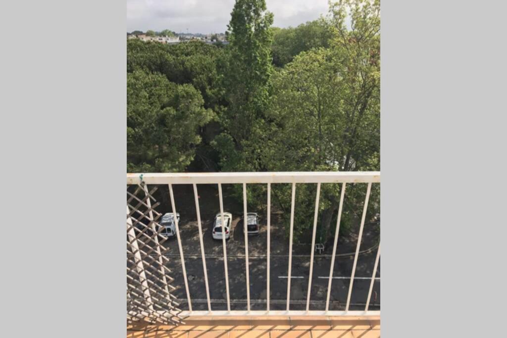 Bel Appartement Avec Vue Et Parking Prive Béziers Kültér fotó